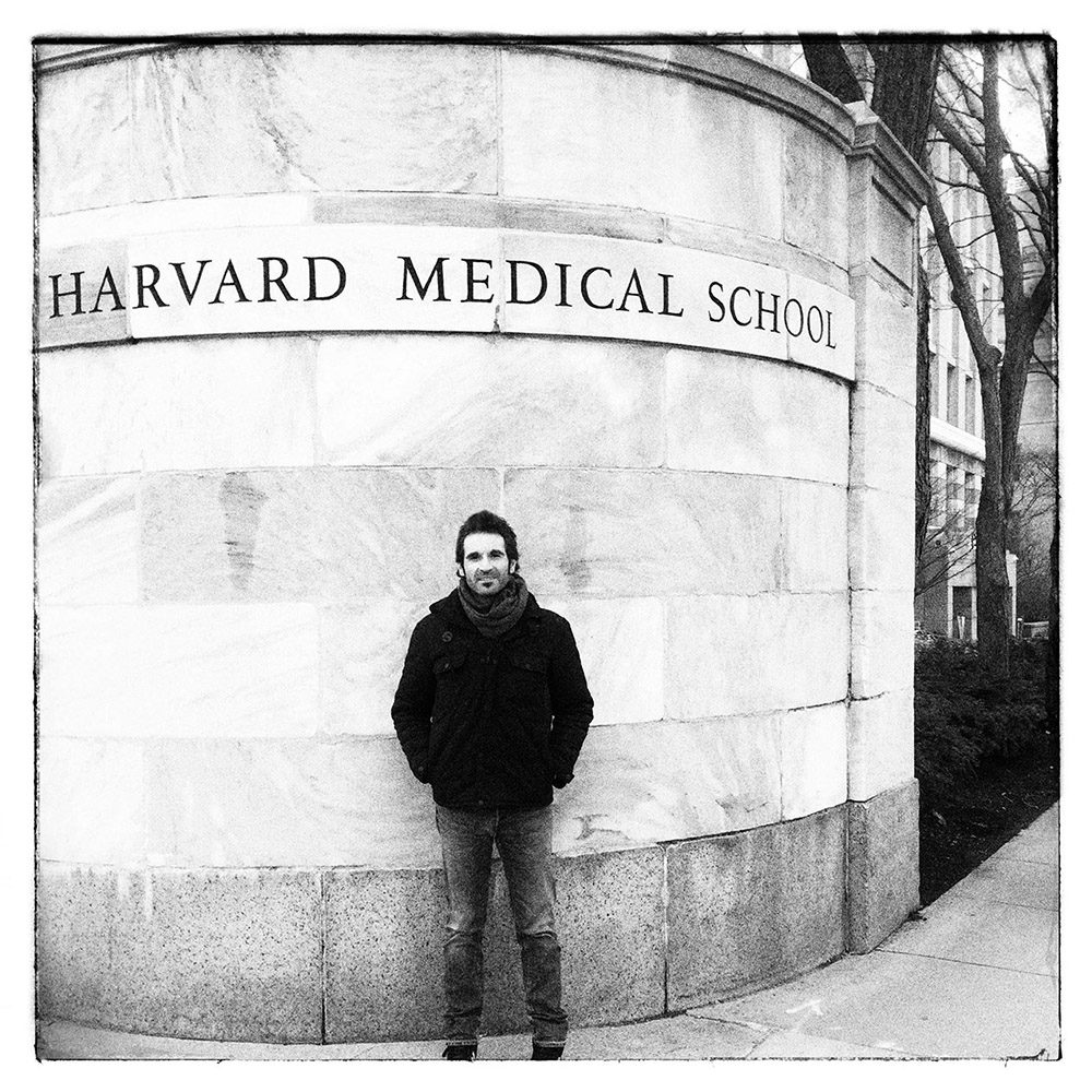 harvard